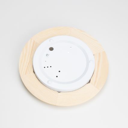 Rabalux - Plafoniera E27/60W/230V