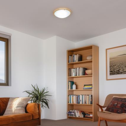 Rabalux - Plafoniera 2xE27/60W/230V