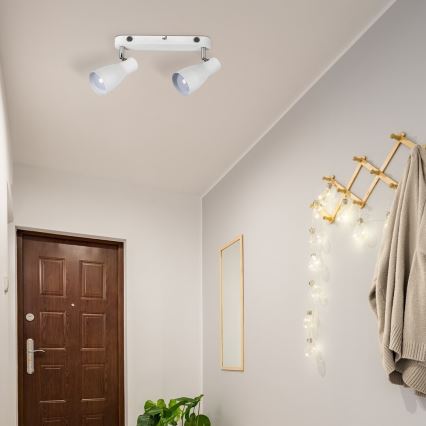 Rabalux - Spot cu 2 becuri E27/20W/230V