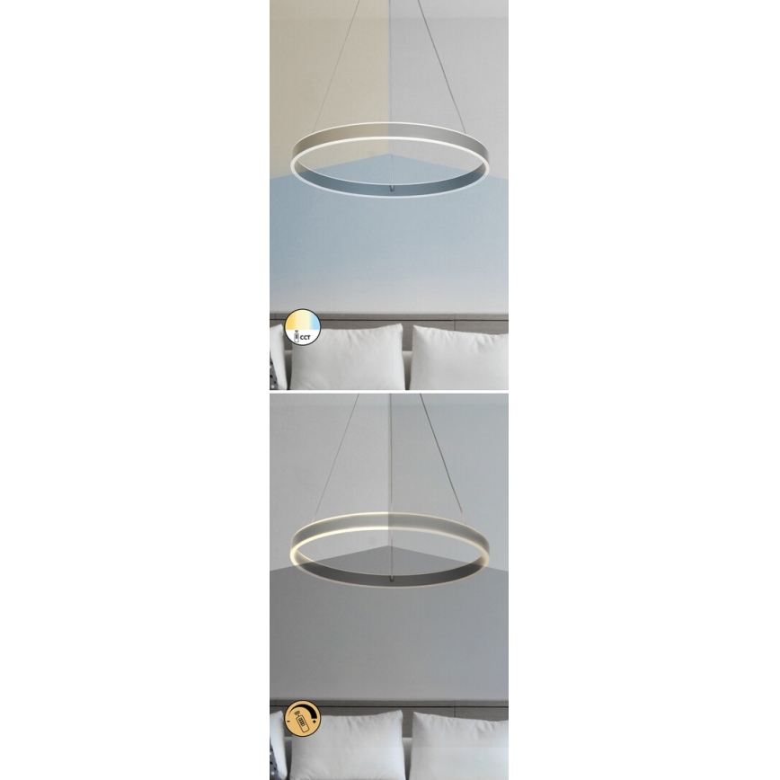 Rabalux - Candelabru LED reglabil pe cablu LED/36W/230V + telecomandă