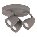 Rabalux 6743 - LED Lampa spot NANCY 3xGU10/4,5W/230V