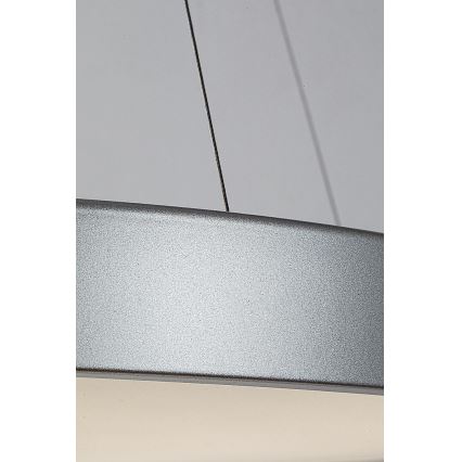 Rabalux - Candelabru LED reglabil pe cablu LED/60W/230V argintiu 3000-6000K + telecomandă
