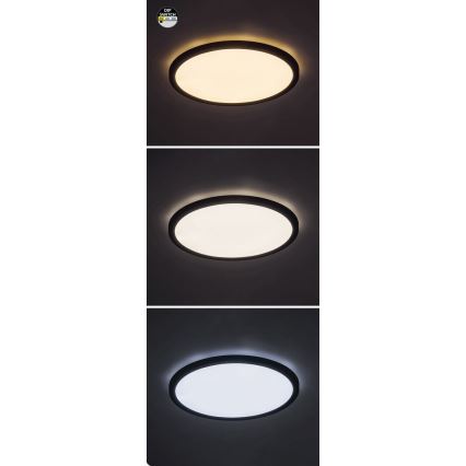 Rabalux - Plafonieră LED LED/24W/230V 3000/4000/6000K diametru 29 cm negru
