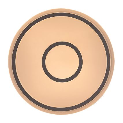 Rabalux - Plafonieră LED 25 W, 230 V, 3000 K, Ø 38 cm