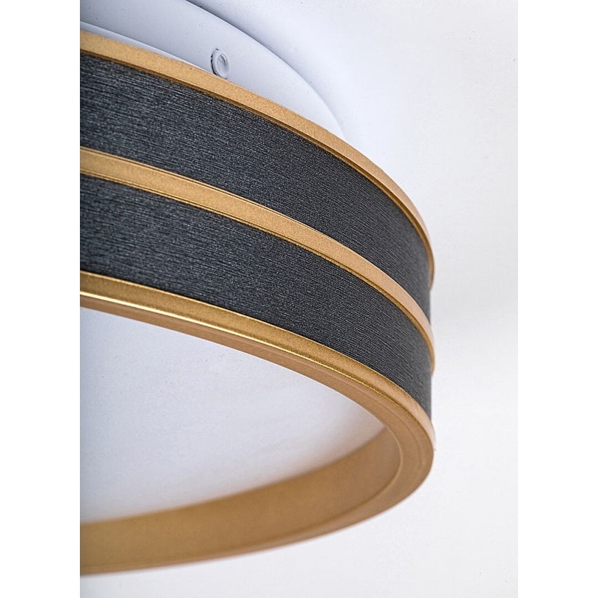 Rabalux - Plafonieră LED dimabilă, 24W, 230V, 3000-6500K, Ø 39 cm + telecomandă