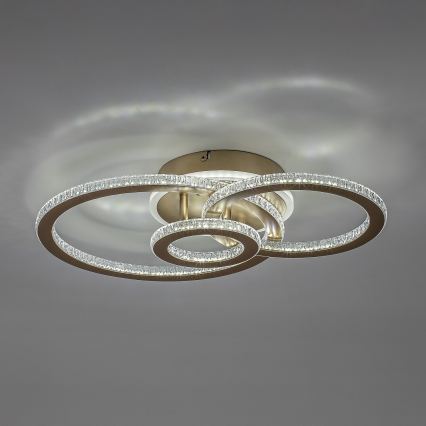 Rabalux - Plafonieră LED reglabilă LED/40W/230V 3000-6500K + telecomandă