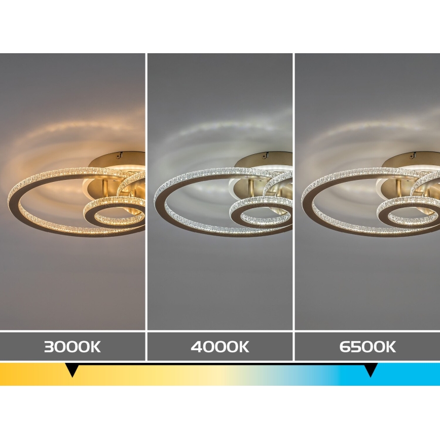 Rabalux - Plafonieră LED reglabilă LED/40W/230V 3000-6500K + telecomandă
