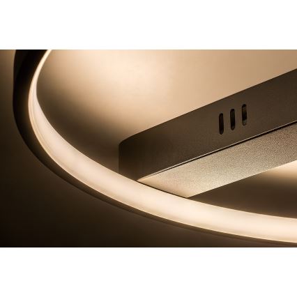 Rabalux - Plafonieră LED, 45W, 230V, 3000K, 50x55 cm, negru