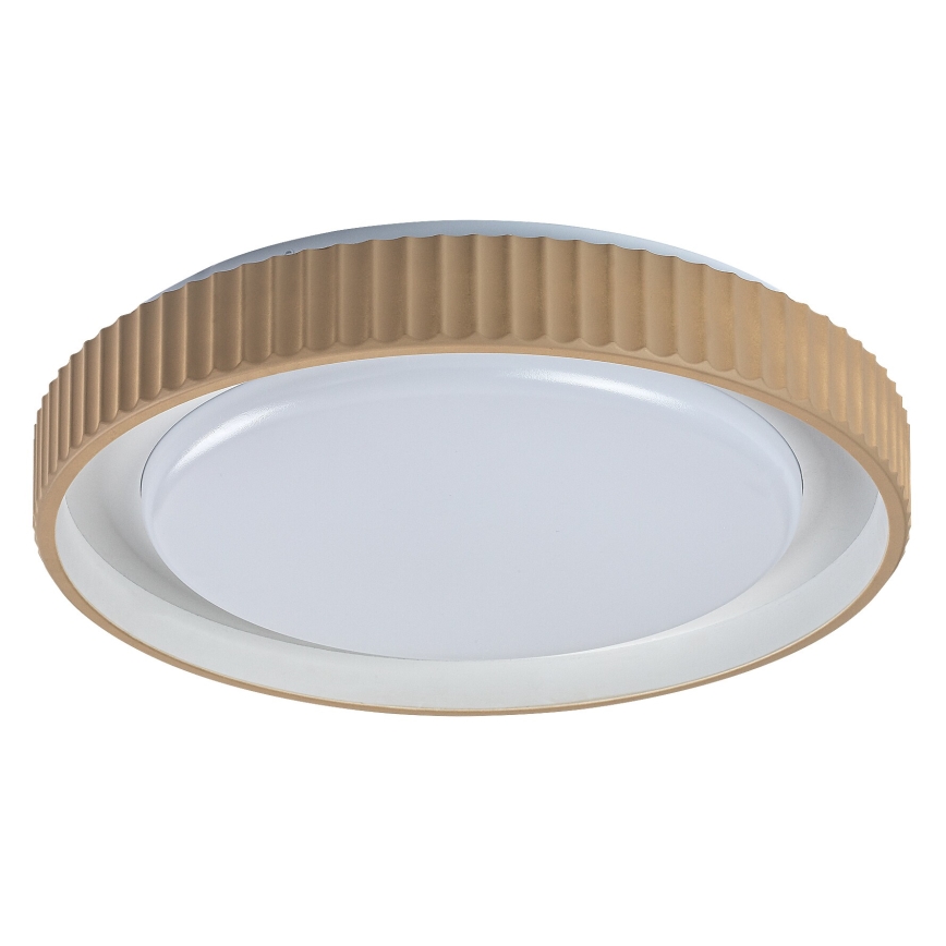 Rabalux - Plafonieră LED dimabilă 48W/230V 3000-6500K Ø 49,5 cm + telecomandă