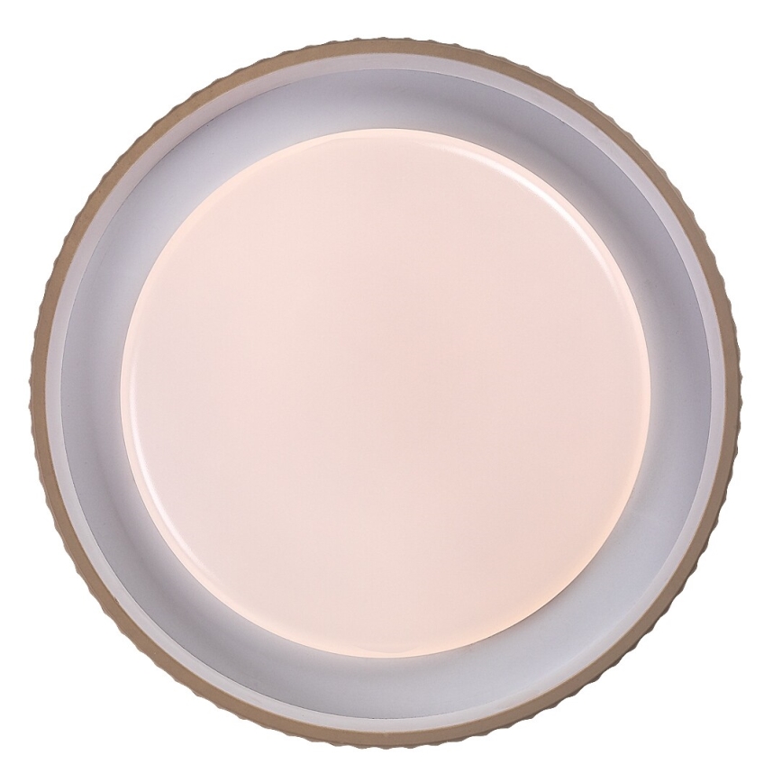 Rabalux - Plafonieră LED dimabilă 48W/230V 3000-6500K Ø 49,5 cm + telecomandă