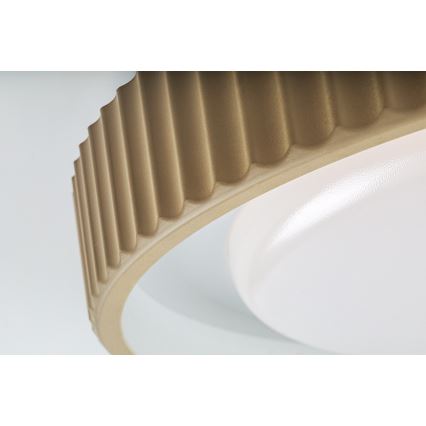 Rabalux - Plafonieră LED dimabilă 48W/230V 3000-6500K Ø 49,5 cm + telecomandă