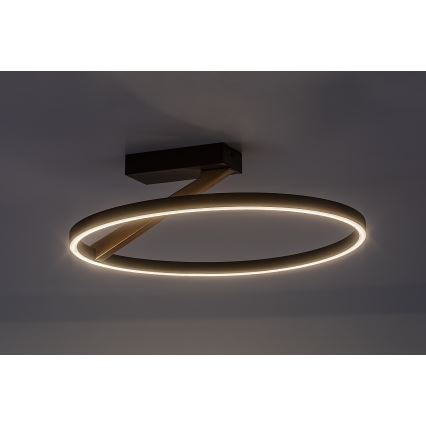 Rabalux - Plafonieră LED 24 W, 230 V, 3000 K, Ø 45 cm
