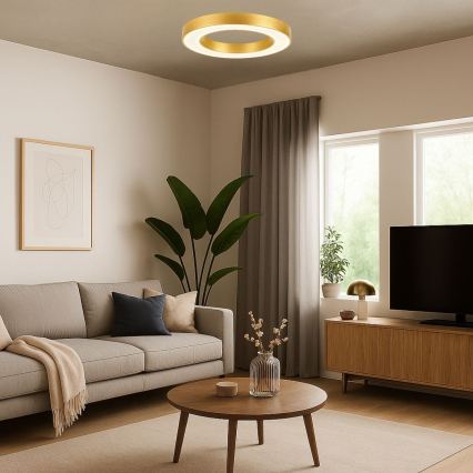 Rabalux - Plafonieră LED, 24 W, 230 V, 3000/4000/6500 K, Ø 40 cm, auriu