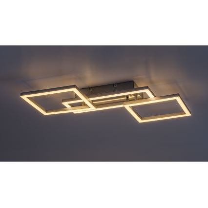 Rabalux - Plafonieră LED dimabilă LED/40W/230V 3000-6500K 45x55 cm + telecomandă