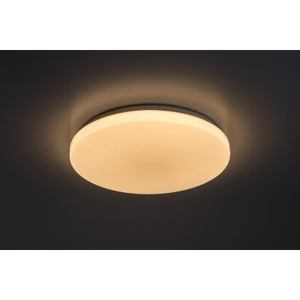 Rabalux - Plafonieră LED dimmabilă, 60W, 230V, 3000-6500K, Ø 58 cm, cu telecomandă