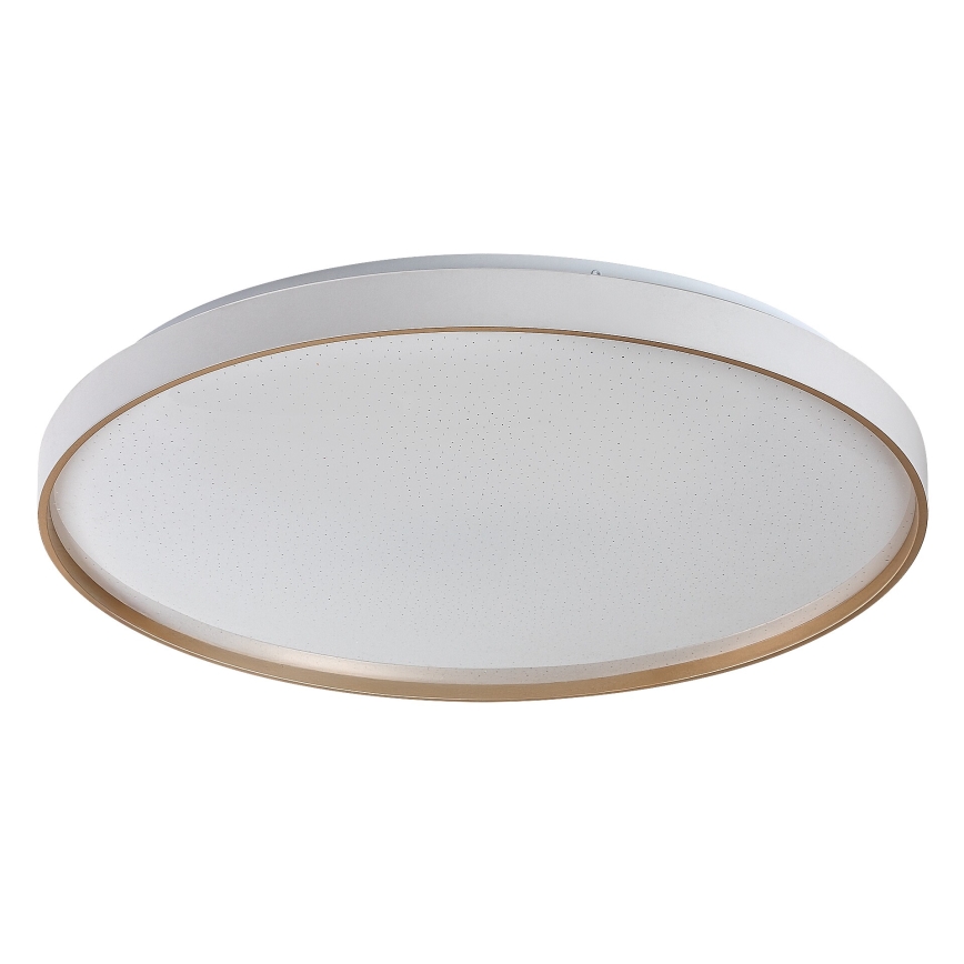 Rabalux - Plafonieră LED dimabilă LED/60W/230V 3000-6500K Ø 58 cm + telecomandă