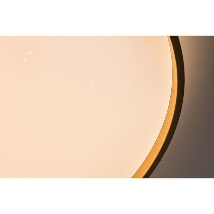 Rabalux - Plafonieră LED dimabilă LED/60W/230V 3000-6500K Ø 58 cm + telecomandă