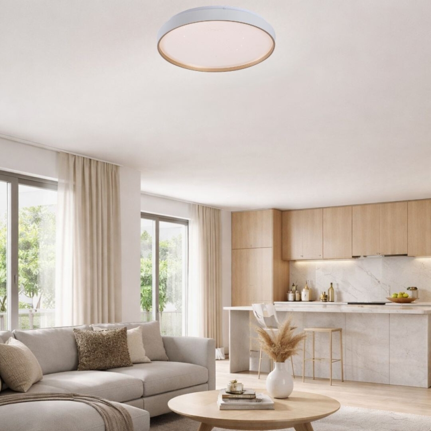 Rabalux - Plafonieră LED dimabilă LED/80W/230V 3000-6500K Ø 77 cm + telecomandă