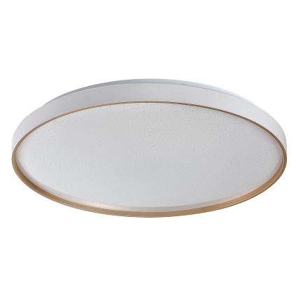 Rabalux - Plafonieră LED dimabilă LED/80W/230V 3000-6500K Ø 77 cm + telecomandă
