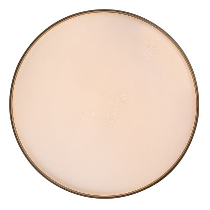 Rabalux - Plafonieră LED dimabilă LED/80W/230V 3000-6500K Ø 77 cm + telecomandă