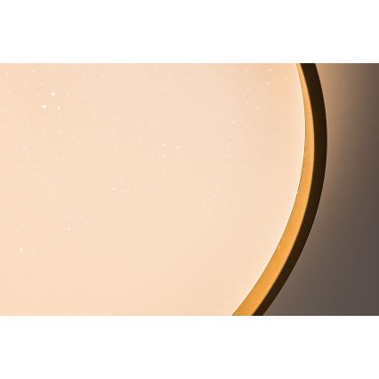 Rabalux - Plafonieră LED dimabilă LED/80W/230V 3000-6500K Ø 77 cm + telecomandă