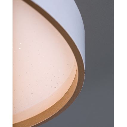 Rabalux - Plafonieră LED dimabilă LED/80W/230V 3000-6500K Ø 77 cm + telecomandă