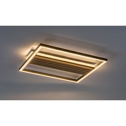 Rabalux - Plafonieră LED 30W, 230V, 3000/4500/6000K