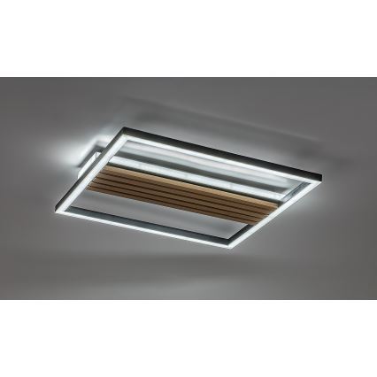 Rabalux - Plafonieră LED 30W, 230V, 3000/4500/6000K