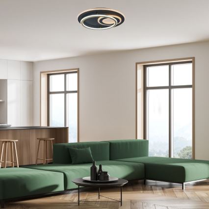 Rabalux - Plafonieră LED dimabilă, 60W/230V, 3000–6000K, Ø 50 cm, cu telecomandă