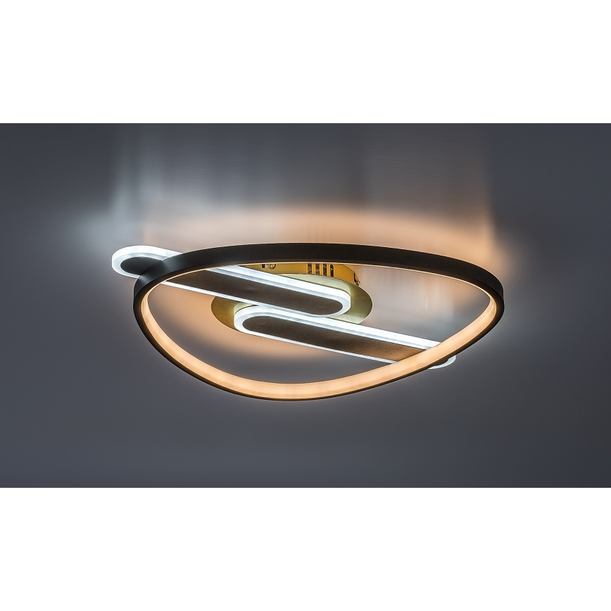 Rabalux - Plafonieră LED dimabilă 60W/230V 3000-6000K 53x45 cm + telecomandă