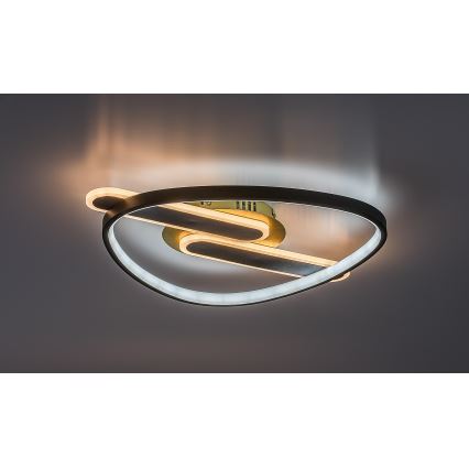 Rabalux - Plafonieră LED dimabilă 60W/230V 3000-6000K 53x45 cm + telecomandă