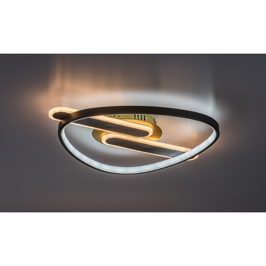 Rabalux - Plafonieră LED dimabilă 60W/230V 3000-6000K 53x45 cm + telecomandă