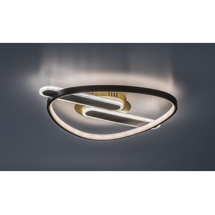 Rabalux - Plafonieră LED dimabilă 60W/230V 3000-6000K 53x45 cm + telecomandă
