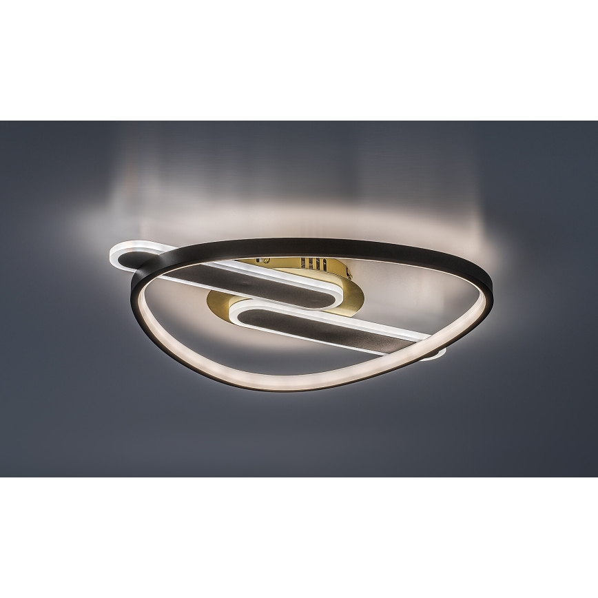 Rabalux - Plafonieră LED dimabilă 60W/230V 3000-6000K 53x45 cm + telecomandă