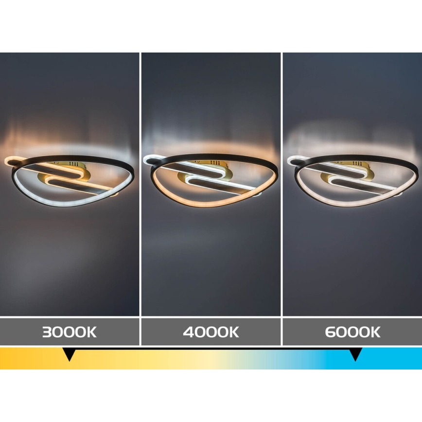 Rabalux - Plafonieră LED dimabilă 60W/230V 3000-6000K 53x45 cm + telecomandă