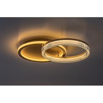 Rabalux - Plafonieră LED dimabilă LED/22W/230V 3000-6500K 53,5x35 cm + telecomandă