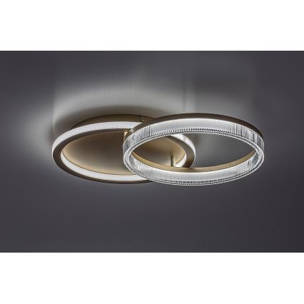 Rabalux - Plafonieră LED dimabilă LED/22W/230V 3000-6500K 53,5x35 cm + telecomandă