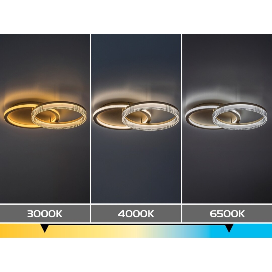 Rabalux - Plafonieră LED dimabilă LED/22W/230V 3000-6500K 53,5x35 cm + telecomandă