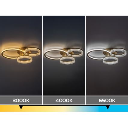 Rabalux - Plafonieră LED dimabilă/38W/230V 3000-6500K 58,5x38 cm + telecomandă