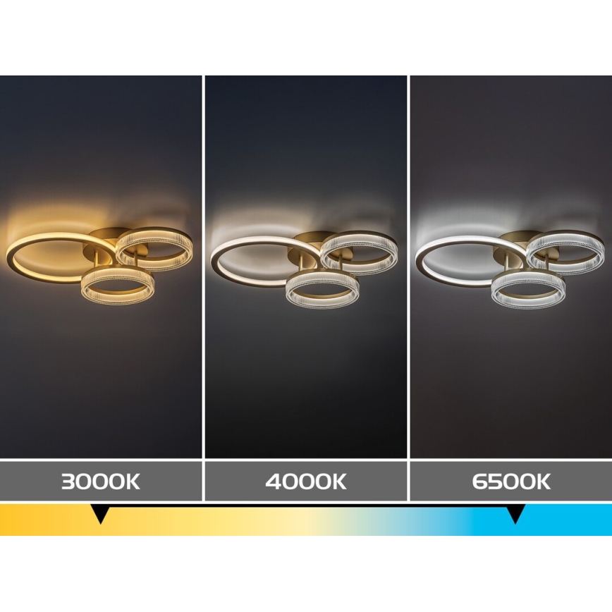 Rabalux - Plafonieră LED dimabilă/38W/230V 3000-6500K 58,5x38 cm + telecomandă