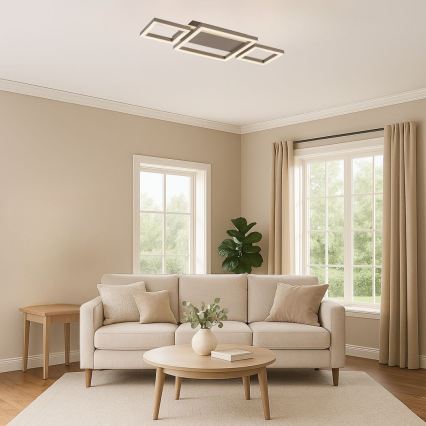 Rabalux - Plafonieră LED/24W/230V 51,5x22 cm