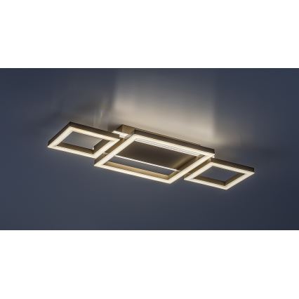 Rabalux - Plafonieră LED/24W/230V 51,5x22 cm