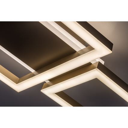Rabalux - Plafonieră LED/24W/230V 51,5x22 cm