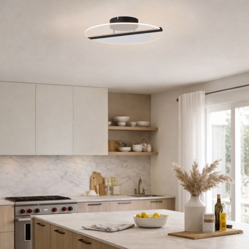 Rabalux - Plafonieră LED 20 W, 230 V, 3000 K, Ø 41 cm, negru/transparent