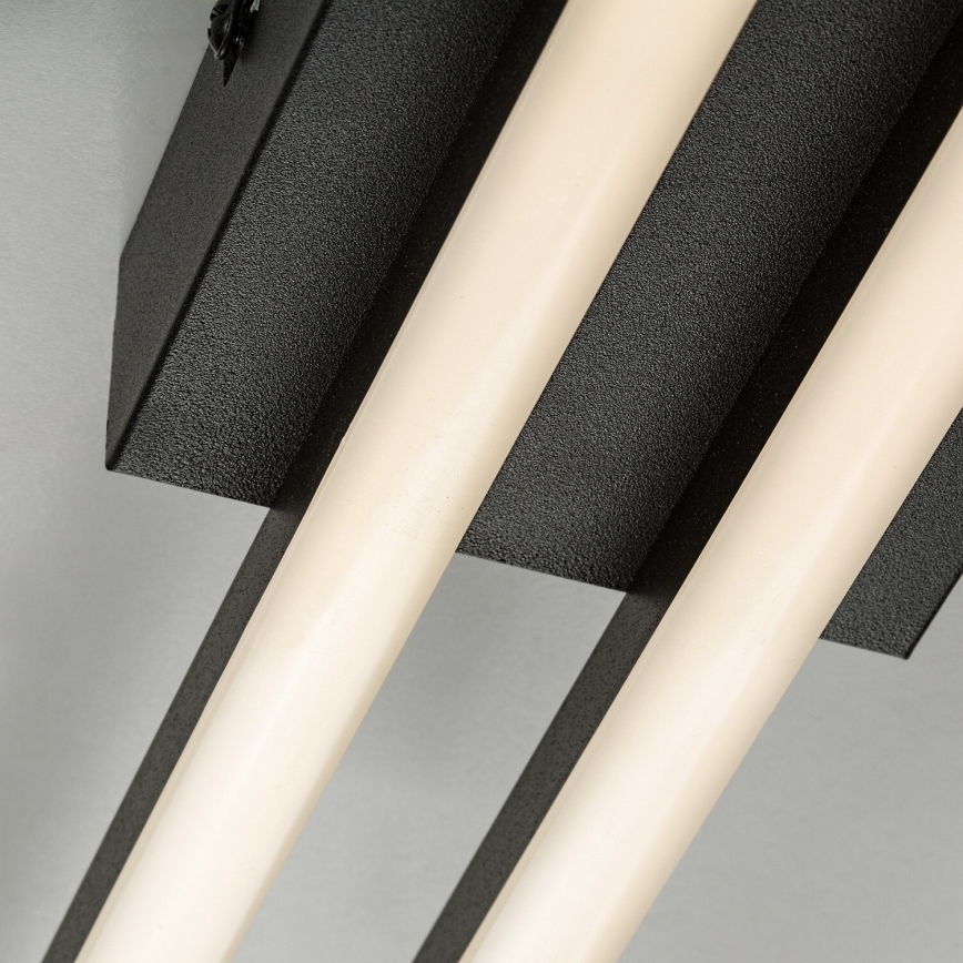 Rabalux - LED plafonieră LED/12W/230V 4000K neagră