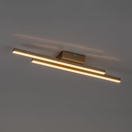 Rabalux - Plafonieră LED/12W/230V 3000K auriu