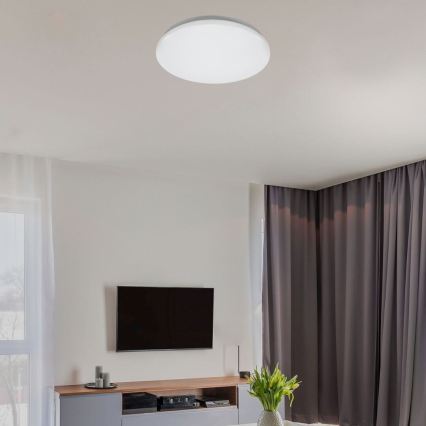 Rabalux - Plafonieră LED 24W/230V 4000K diam. 37,5 cm