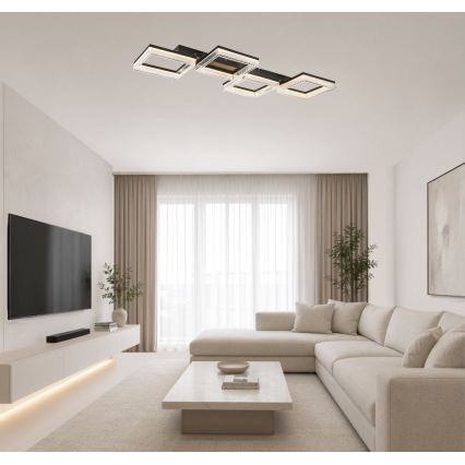 Rabalux - Plafonieră LED dimabilă LED/40W/230V 3000-6500K + telecomandă