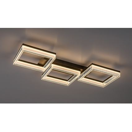 Rabalux - Plafonieră LED dimmabilă LED/30W/230V 3000-6500K + telecomandă