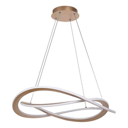 Rabalux - Lustră LED suspendată pe cablu LED/72W/230V 3000K